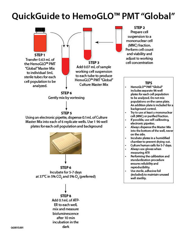 QuickGuide to HemoGLO™ PMT "Global" Assays to Monitor Patients After Transplantation for Lympho-Hematopoietic Reconstitution